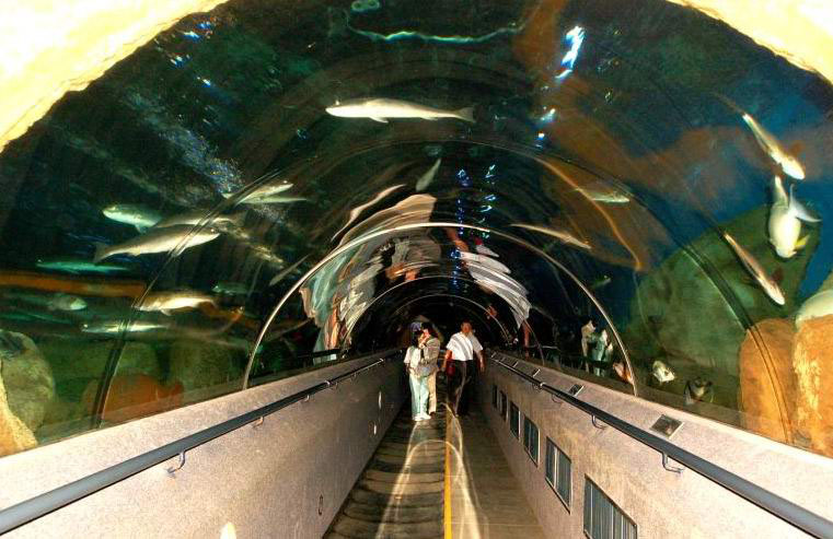 Подводный туннель Sun Asia Ocean World Подводный туннель Sun Asia Ocean World