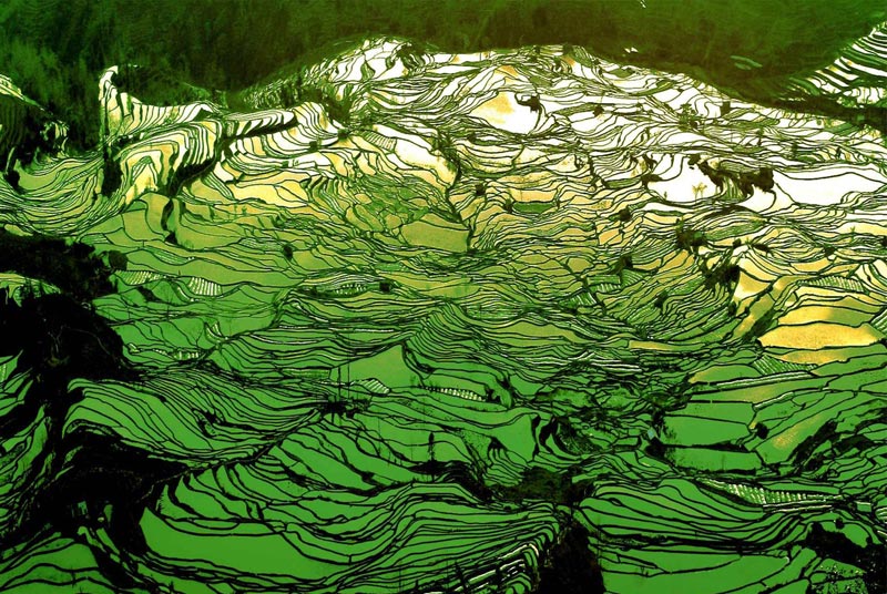 Рисовые террасы Юаньян Рисовые террасы Юаньян
